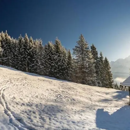 Haus Schnee-kristall * Ehrwald
