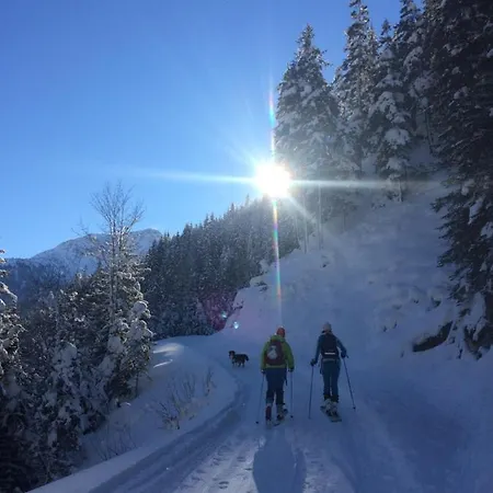 Apartment Haus Schnee-kristall *
